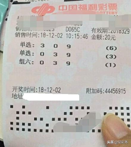 天天彩票网页版，探索与体验