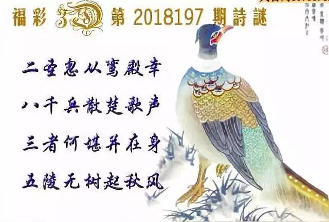 福彩3D图迷字谜汇总，探索与解析
