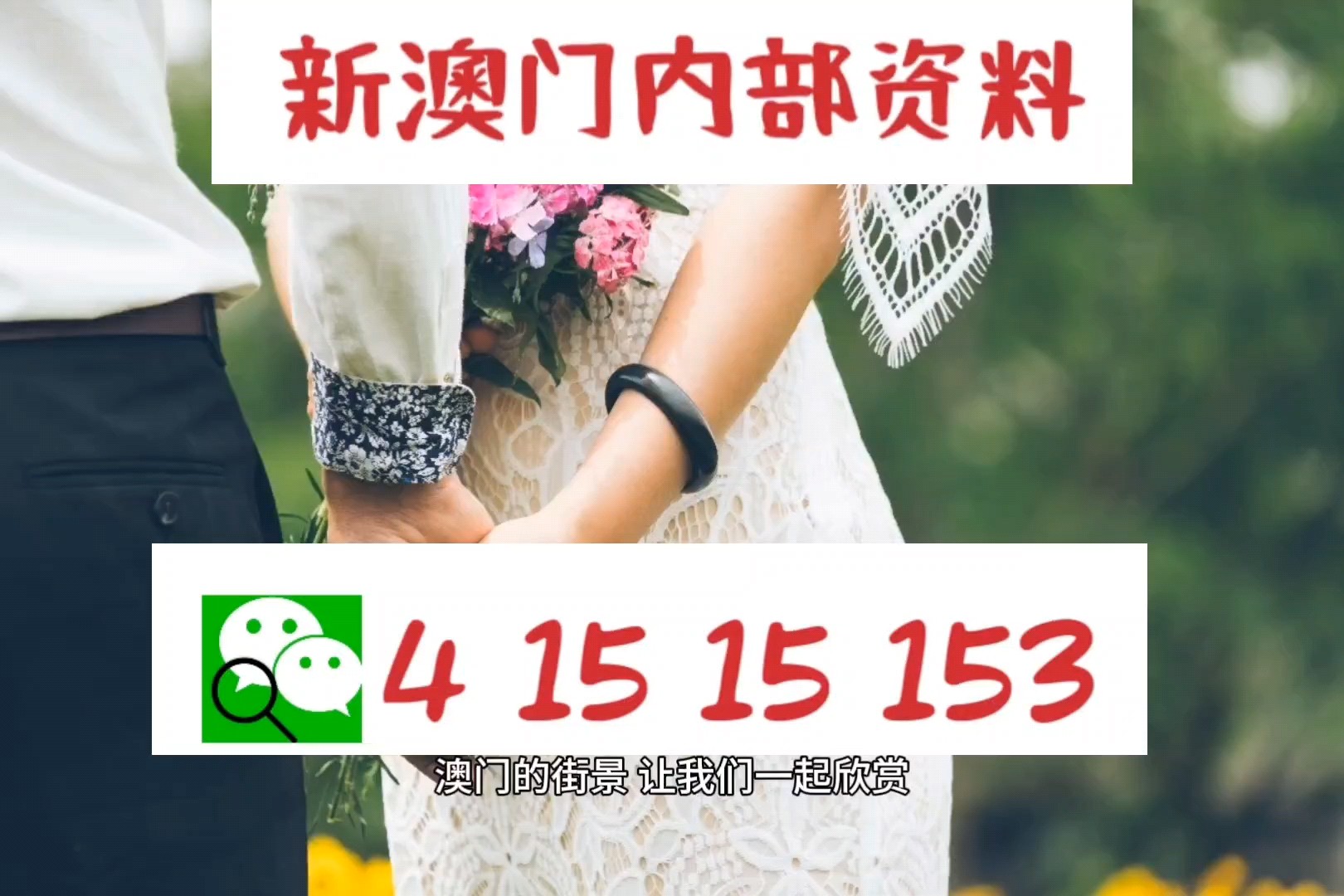 澳门今晚精准四不像，探索运气与策略之间的微妙平衡