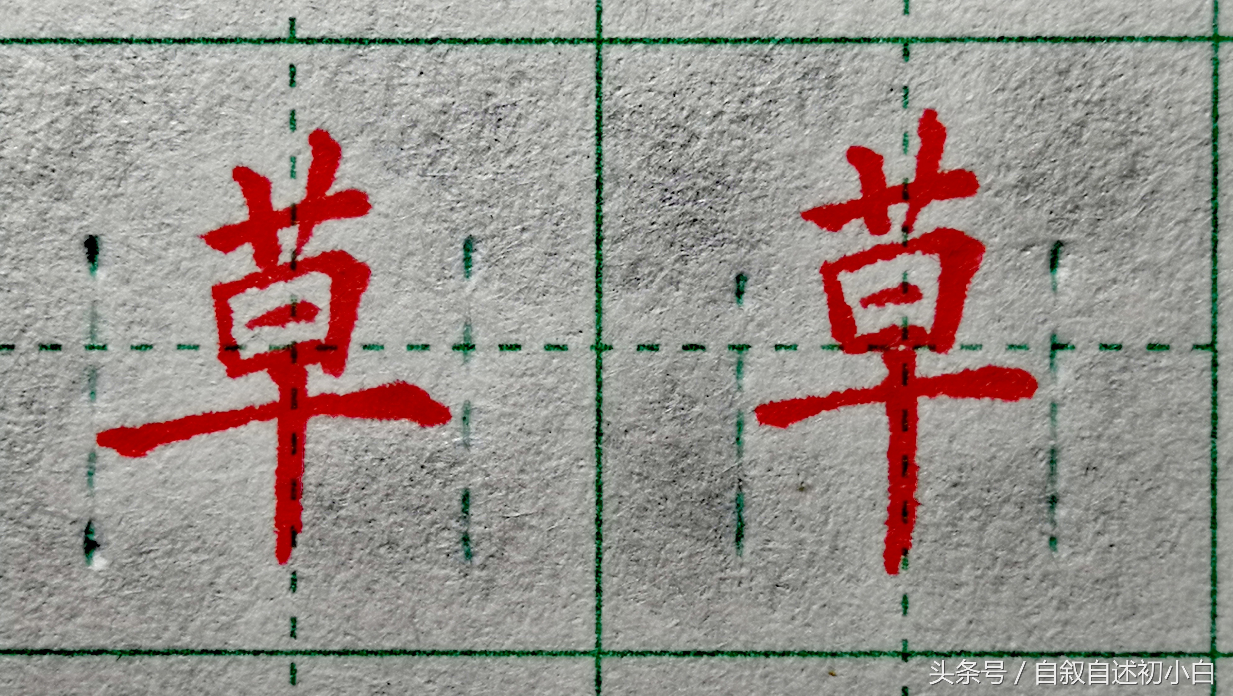 草字头的魅力与意蕴