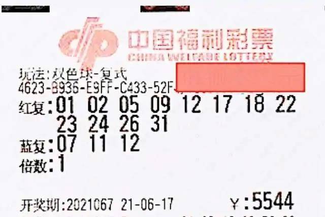 揭秘彩票背后的故事，关于67双色球开奖结果查询的探讨