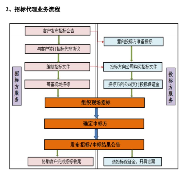 中国招标网的发展与影响，构建透明、高效的招标采购平台