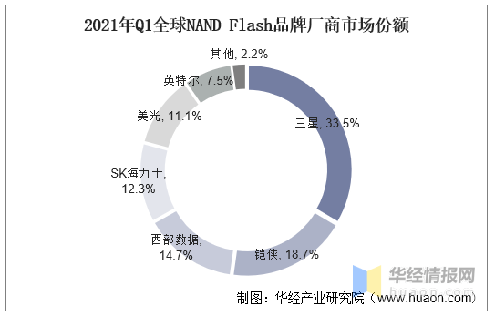 探索线上世界，3D建模课程的革命性变革