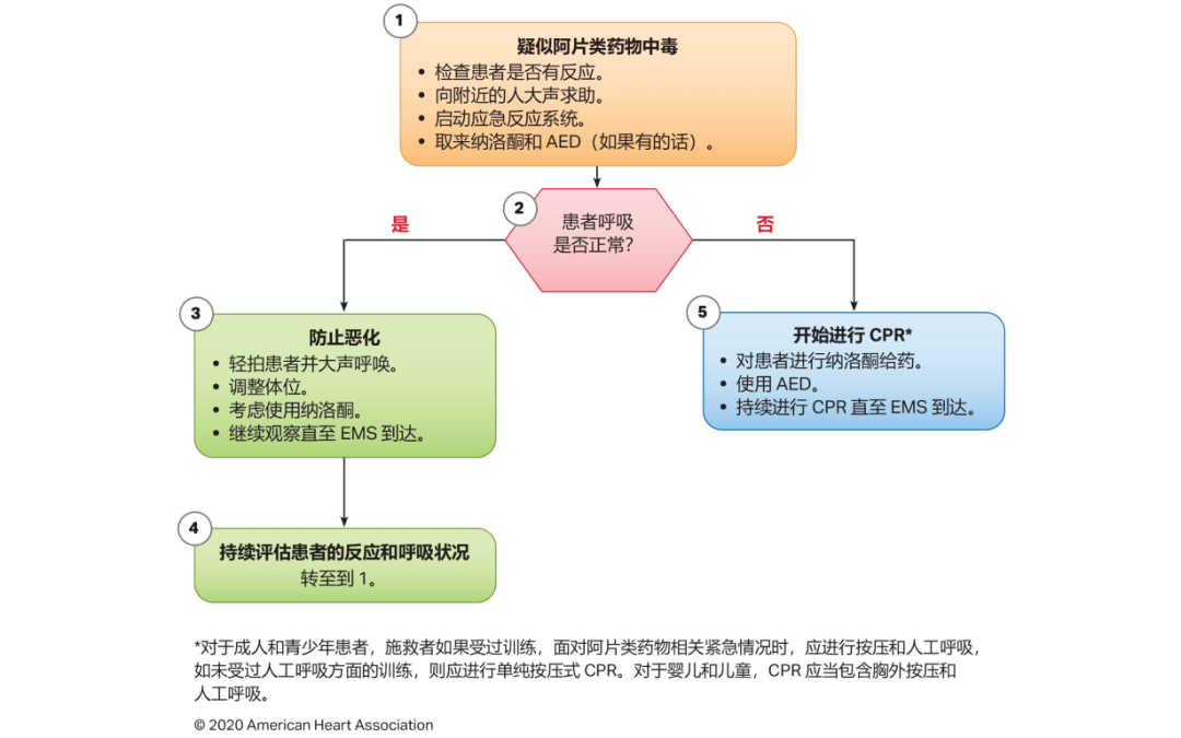 澳门彩票官网下载最新中文版指南
