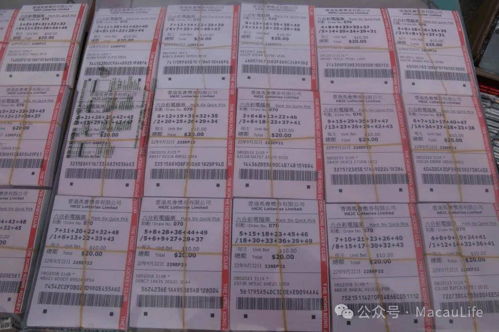 澳门彩票网站最新推荐，探索六盒彩票的世界与最新图片推荐