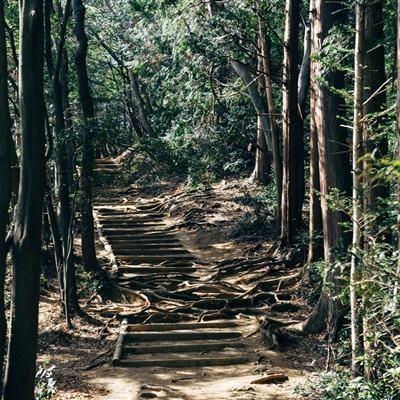 澳门六盒彩票网官方网站查询结果最新版，探索彩票世界的最新动态与便捷服务