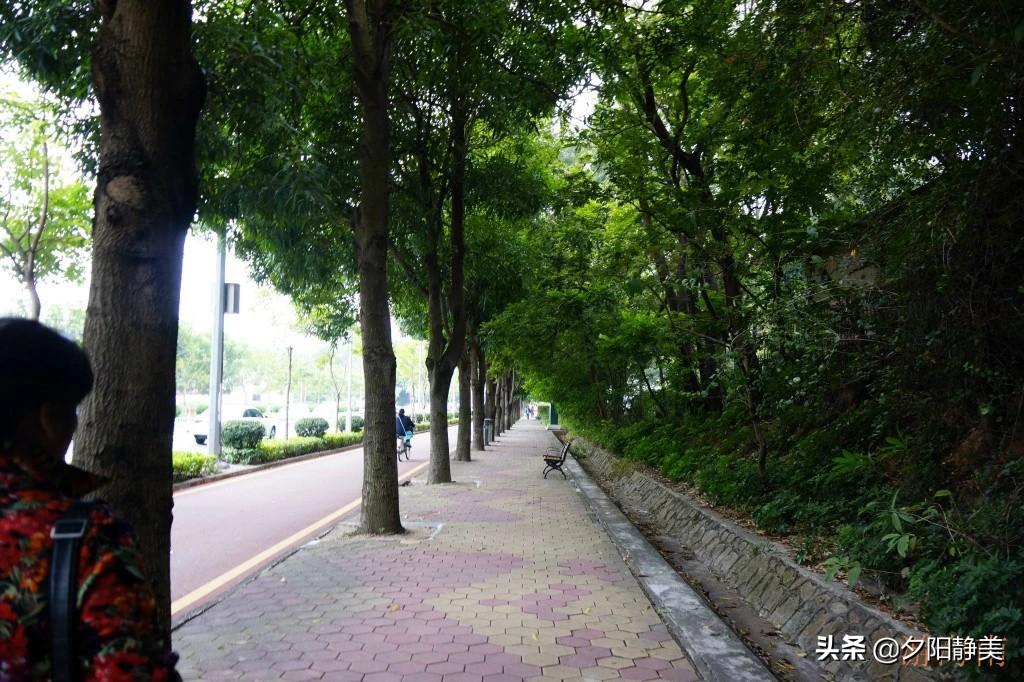 澳门最新天气温度表解读，六月气候概览最新版全文解读