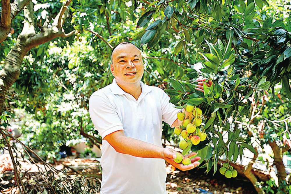 澳门六月中旬天气情况深度解析